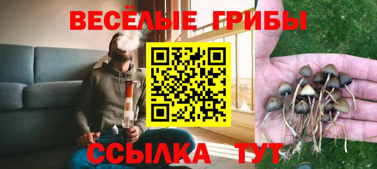 Нефтекумск  Псилоцибиновые грибы мухоморы  Галлюциногенные грибы Cubensis  Вход с VPN 